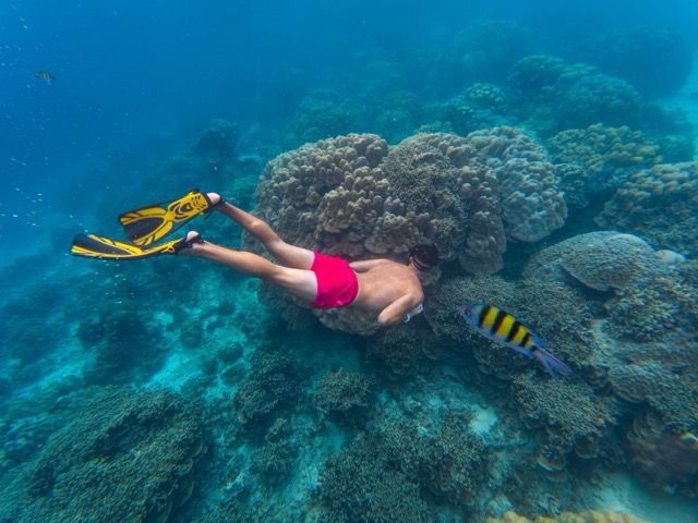 Outside + Inside Zone - Koh Lipe Shared Island Hopping & Snorkeling Tour